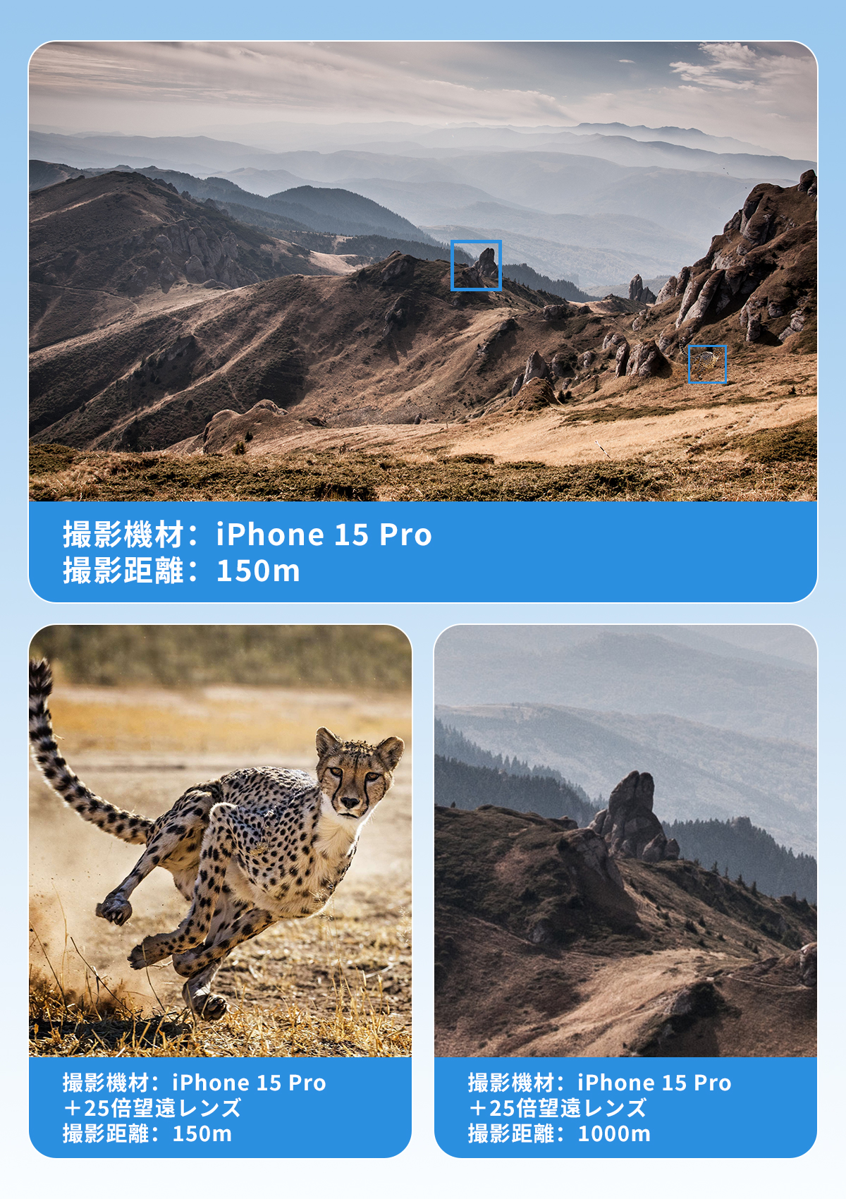画像 4