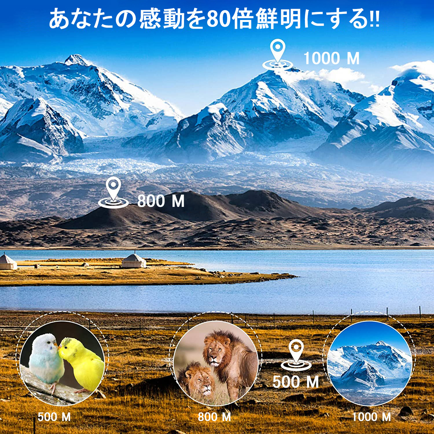 画像 3